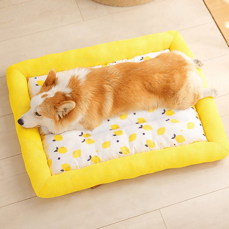 Cama de Verano Fresk - MascotaGadget.com