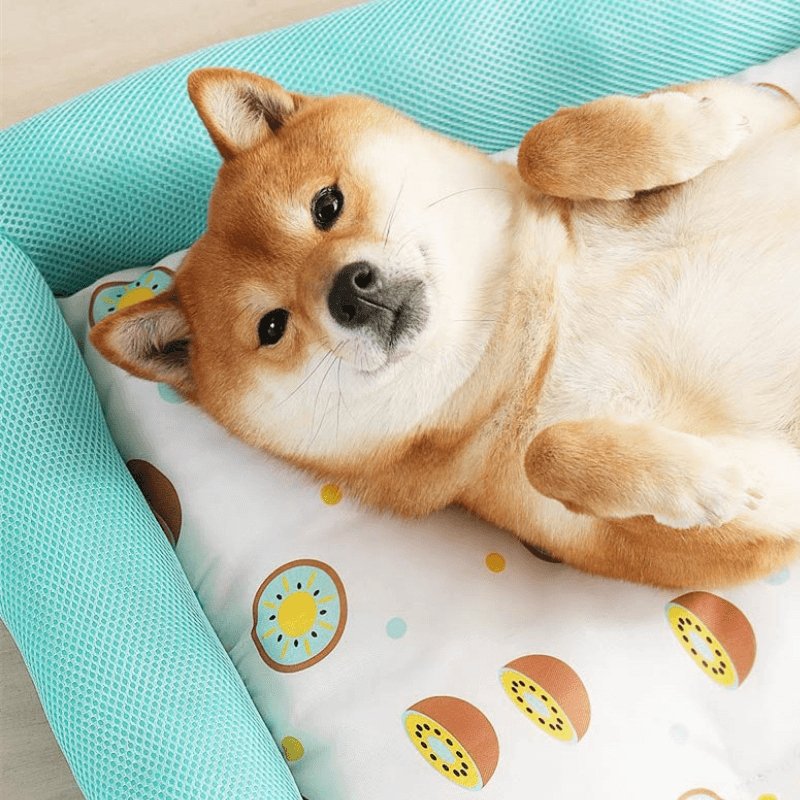 Cama de Verano Fresk - MascotaGadget.com