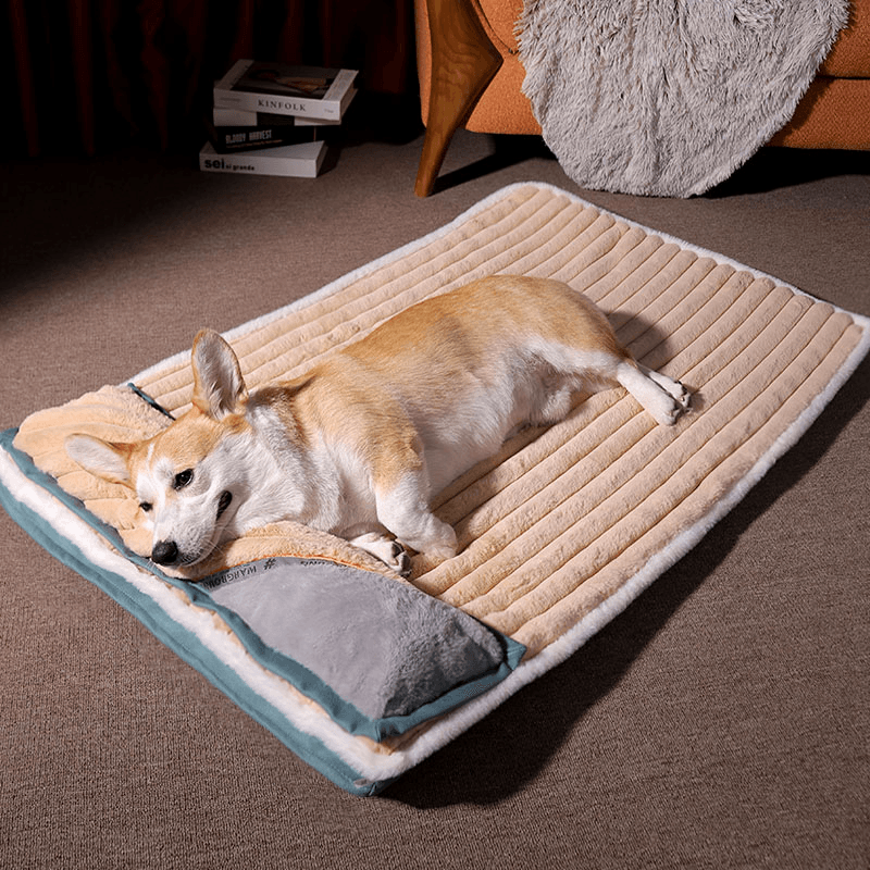 Cama Ortopedica Perro - MascotaGadget.com