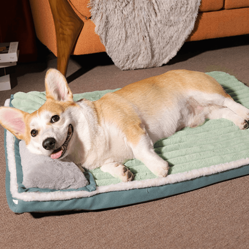 Cama Ortopedica Perro - MascotaGadget.com