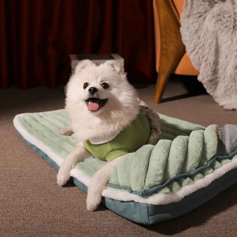 Cama Ortopedica Perro - MascotaGadget.com